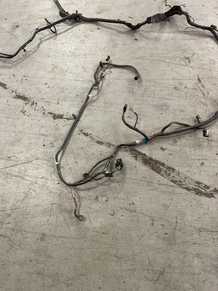 2003-04 Ford Mustang SVT Cobra Convertible Body Harness 167