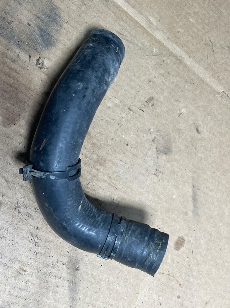 2003-04 Ford Mustang SVT Cobra Lower Radiator Hose 203