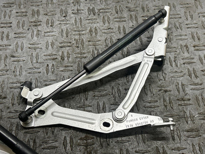 2015-17 Ford Mustang GT Trunk Hinges Pair- Paint Code UX 312