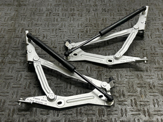 2015-17 Ford Mustang GT Trunk Hinges Pair- Paint Code UX 312