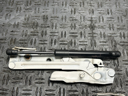 2011-14 Ford Mustang Trunk Hinges & Shocks (Paint Code HP) 294