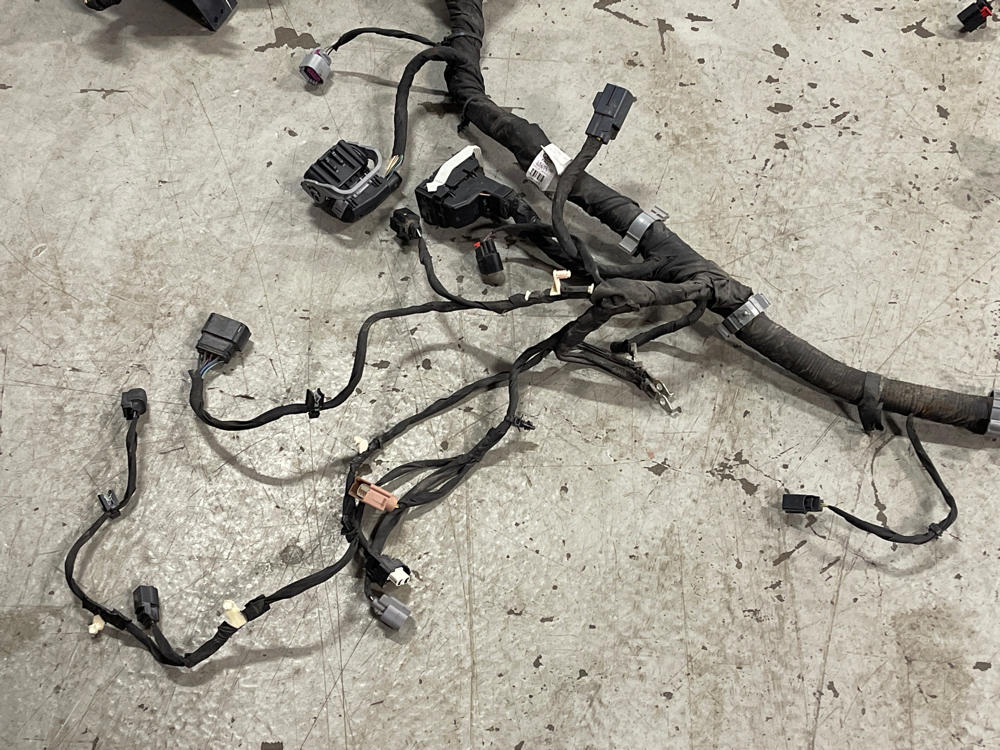 2015-17 Ford Mustang GT Gen 2 Coyote Engine Bay Distribution Harness 312