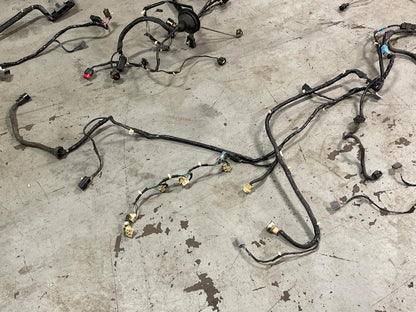 2001-04 Ford Mustang Roush GT Coupe Body Harness- For Manual Trans Cars 293
