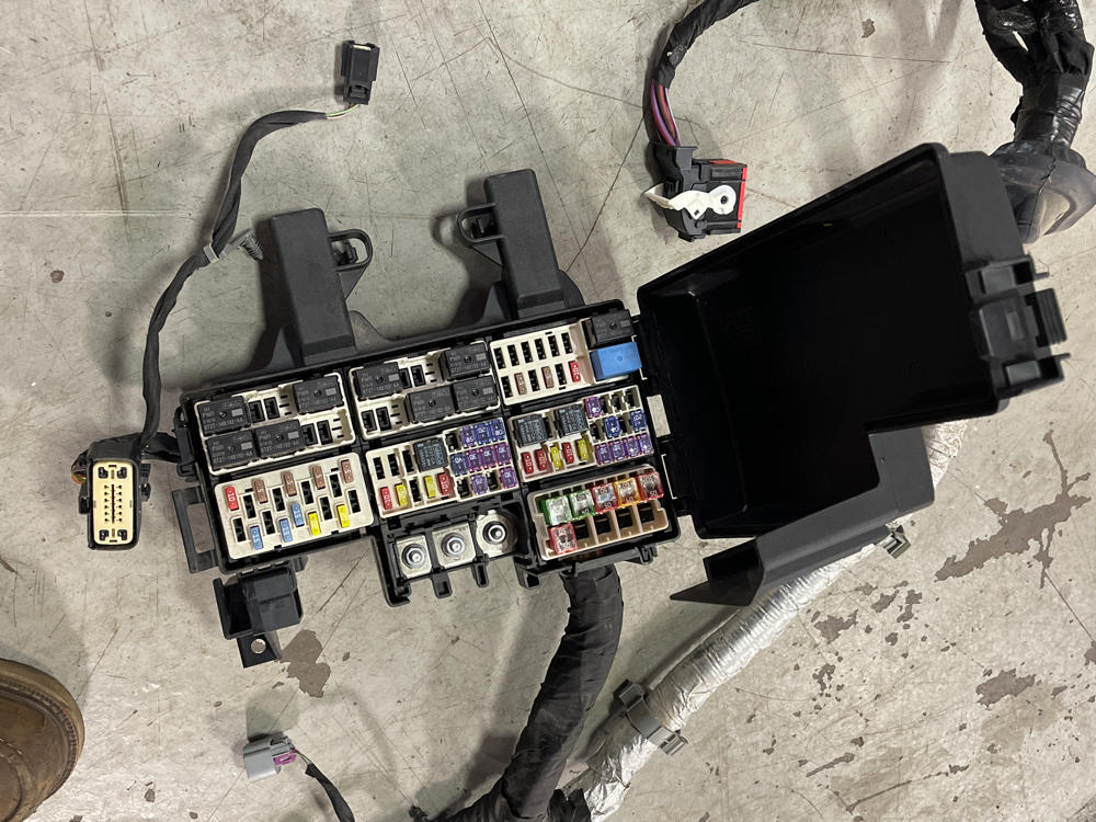 2015-17 Ford Mustang GT Gen 2 Coyote Engine Bay Distribution Harness 312