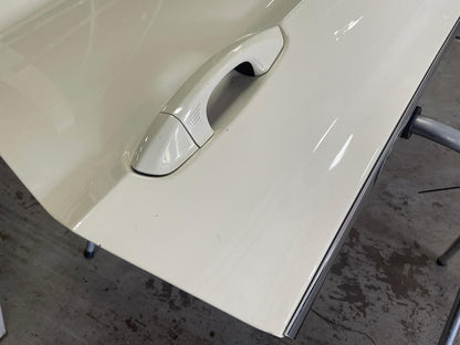 2015-17 Ford Mustang GT Driver LH Door- FOR COUPE, Paint Code N4 297
