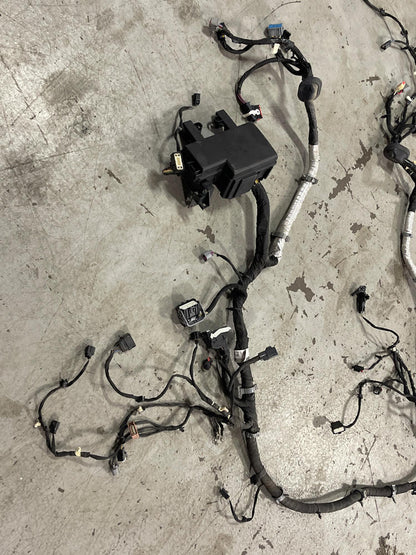 2015-17 Ford Mustang GT Gen 2 Coyote Engine Bay Distribution Harness 312