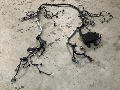 2015-17 Ford Mustang GT Gen 2 Coyote Engine Bay Distribution Harness 312