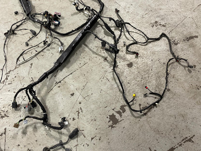 2018-23 Ford Mustang GT Premium Coupe Body Harness- SEE DESC. 301