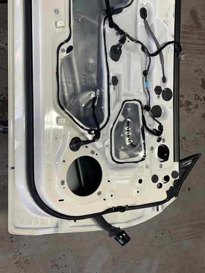 2015-17 Ford Mustang GT Driver LH Door- FOR COUPE, Paint Code N4 297