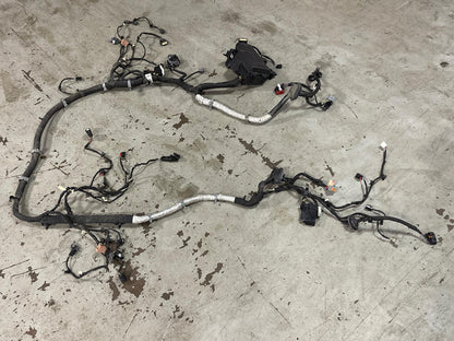 2015-17 Ford Mustang GT Gen 2 Coyote Engine Bay Distribution Harness 312