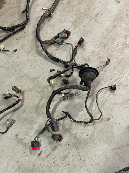 2001-04 Ford Mustang Roush GT Coupe Body Harness- For Manual Trans Cars 293