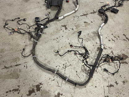 2015-17 Ford Mustang GT Gen 2 Coyote Engine Bay Distribution Harness 312