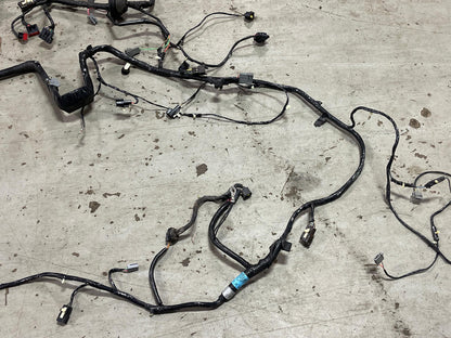 2003-04 Ford Mustang Mach One Body Harness- FOR MANUAL TRANS 19k Miles 296