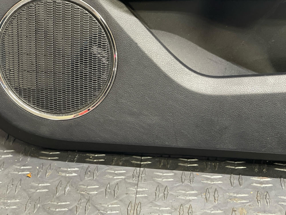 2015-17 Ford Mustang GT Door Panel Pair 312