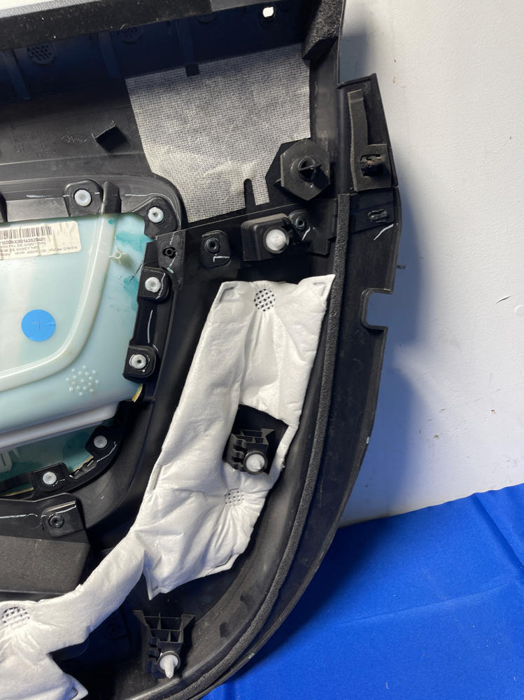 2015-17 Ford Mustang GT Driver LH Door Panel 161