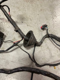 2003-04 Ford Mustang SVT Cobra Coupe Body Harness 179