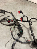 2003-04 Ford Mustang SVT Cobra Coupe Body Harness 179