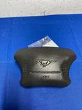 1999-04 Ford Mustang Driver Bag 170