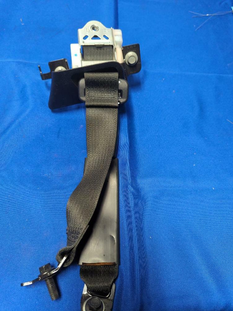 2015-17 Ford Mustang GT 5.0 Coyote Coupe Rear Right Seat Belt 172