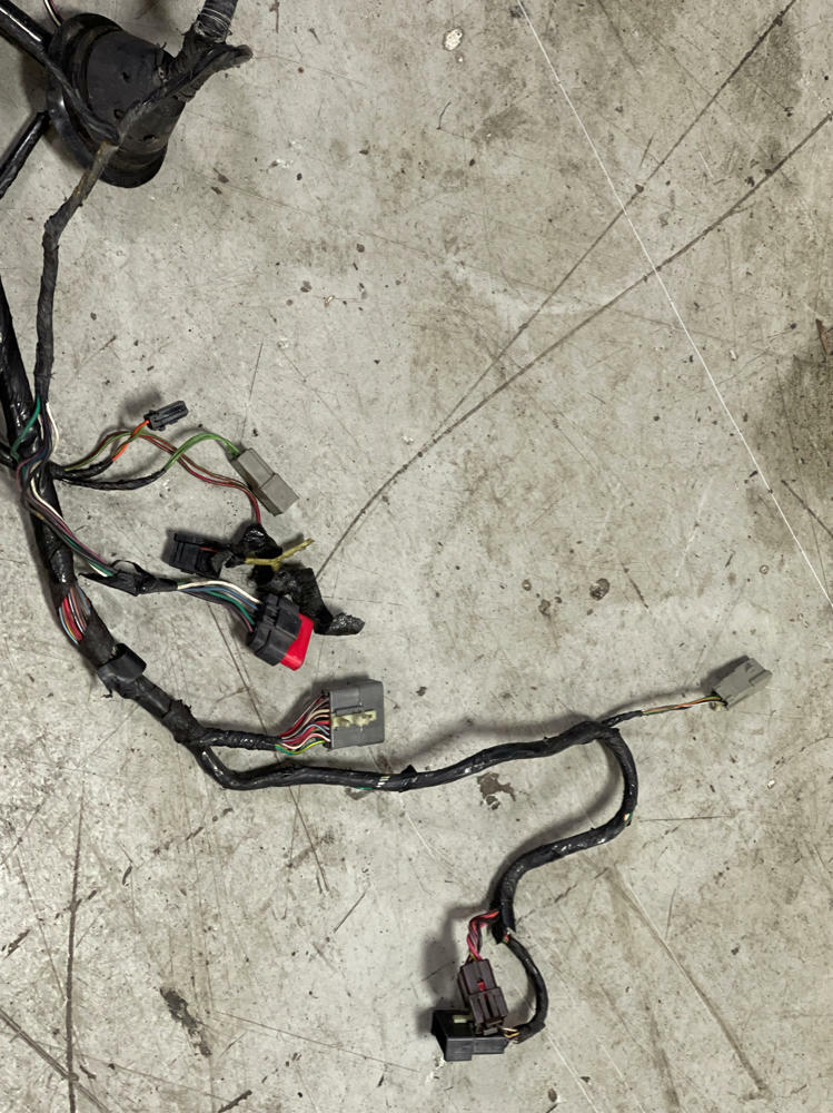 1999-04 Ford Mustang GT 4.6 Body Harness 189