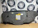 2004-06 Pontiac GTO Spare Tire Trunk Cover Panel 200