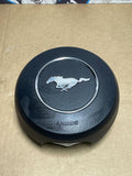 2018-23 Ford Mustang GT Horn Cover 207