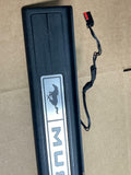 2018-23 Ford Mustang Illuminated Door Sill (1) 217