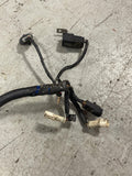 1990 Ford Mustang GT ECU Harness