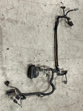 2003-04 Ford Mustang SVT Cobra Distribution Harness- Cut 228