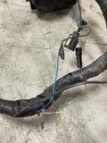 2003-04 Ford Mustang SVT Cobra Distribution Harness- Cut 228