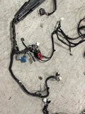 2015-17 Ford Mustang S550 GT Body Harness- Base Model Coupe 227