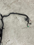 2015-17 Ford Mustang S550 GT Body Harness- Base Model Coupe 227