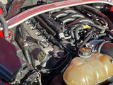 2015-17 Ford Mustang Gen II Coyote Engine 5.0 & MT82 Trans 59K Miles Upgrades 249
