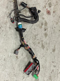 1999-01 Ford Mustang SVT ECU Harness 233