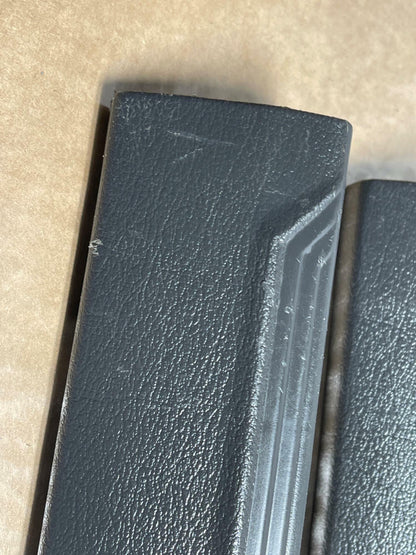 2003-04 Ford Mustang SVT Cobra Door Sills Pair RH LH 252