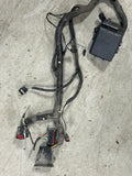 2001 Ford Mustang SVT Cobra Distrubution Harness 234