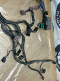 2001 Ford Mustang SVT Cobra PCM Harness ECU 234