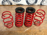 2015-23 Ford Mustang GT BMR Coil Spring Set 254
