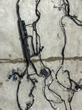 2015-17 Ford Mustang Coyote Coupe Premium Body Harness 253
