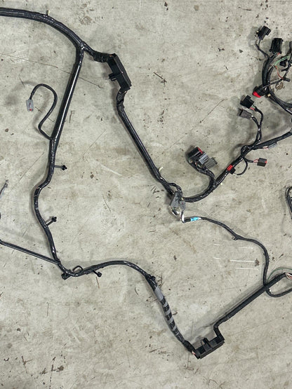 2001 Ford Mustang Bullitt Body Harness- 51k Miles, for Manual Trans/2V 257