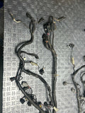 2001-04 Ford Mustang GT Saleen EFI Fuel Injection Engine Harness