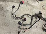 2001-04 Ford Mustang GT Saleen Body Harness See Description 245