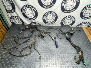 2001-04 Ford Mustang GT Saleen PCM ECU Harness 245