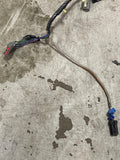 2001-04 Ford Mustang GT Saleen Body Harness See Description 245