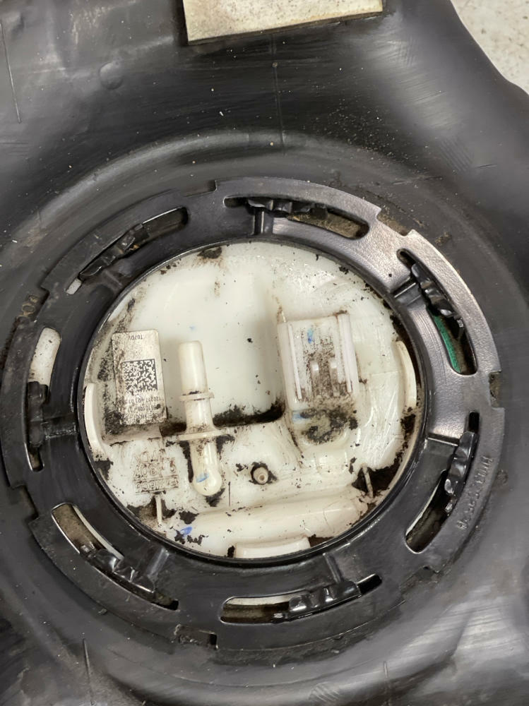 2015-17 Ford Mustang Gen 3 Coyote Fuel Tank 241
