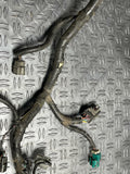 1999-04 Ford Mustang GT/Saleen 4.6 2V EFI Harness- Damaged 243