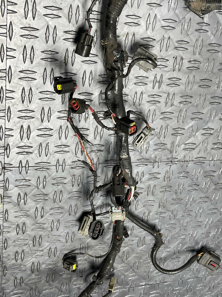 1999-04 Ford Mustang GT/Saleen 4.6 2V EFI Harness- Damaged 243