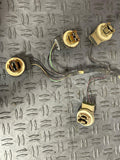2003-04 Ford Mustang SVT Cobra OEM Taillight Harnesses 272