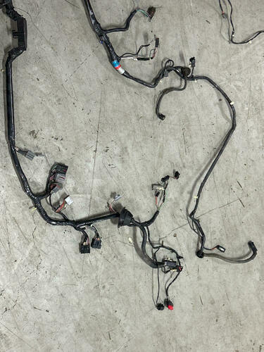 2003 Ford Mustang SVT Cobra Convertible Body Harness 273