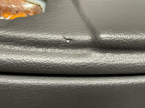 2003-04 Ford Mustang SVT Cobra Door Panels Pair LH RH 273